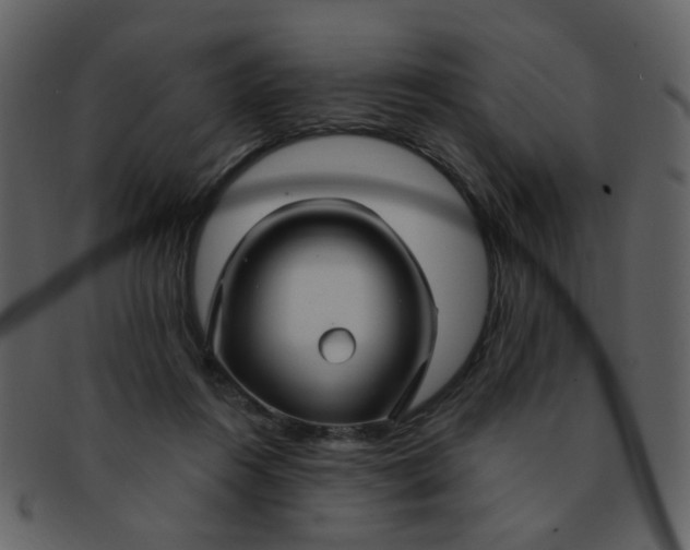 X0000093140360200710171334