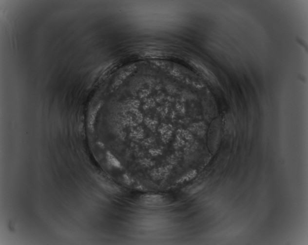 X0000093140361200710171334