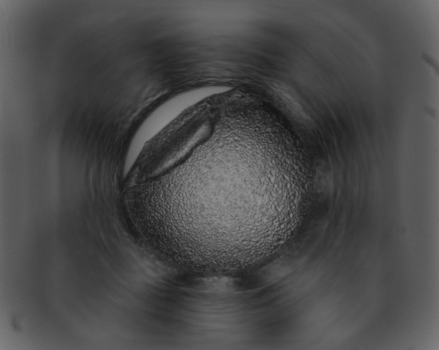 X0000093140363200710171334