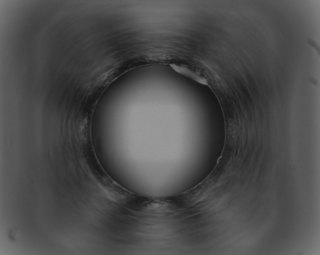 X0000093140364200710171334