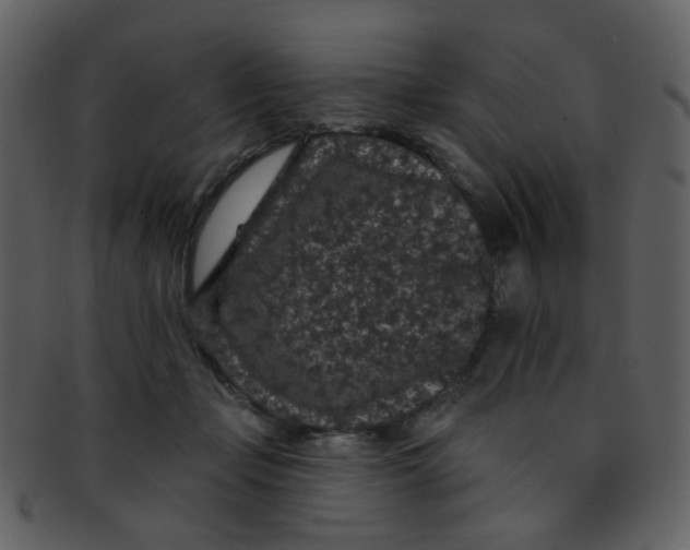 X0000093140365200710171334