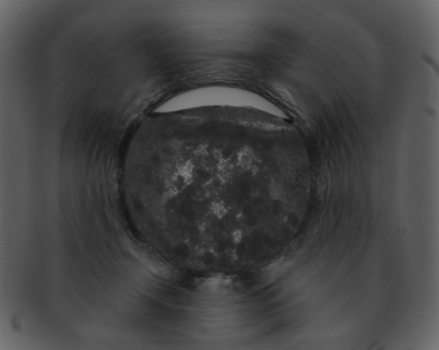 X0000093140366200710171334