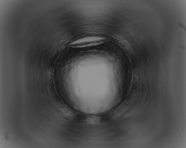 X0000093140369200710171334