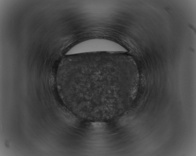 X0000093140371200710171334