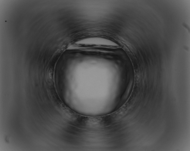 X0000093140373200710171334