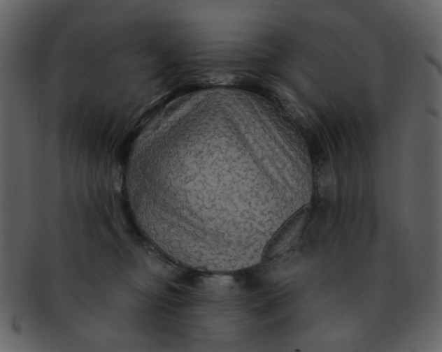 X0000093140374200710171334