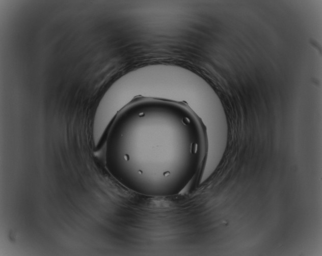 X0000093140376200710171334