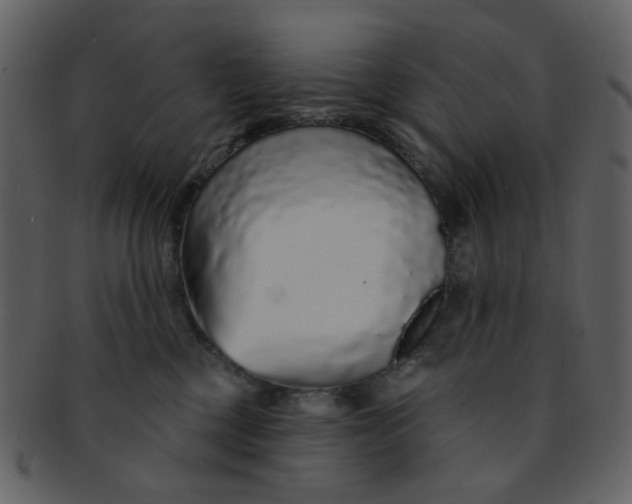 X0000093140377200710171334