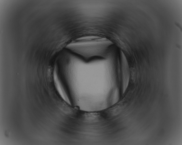 X0000093140378200710171334