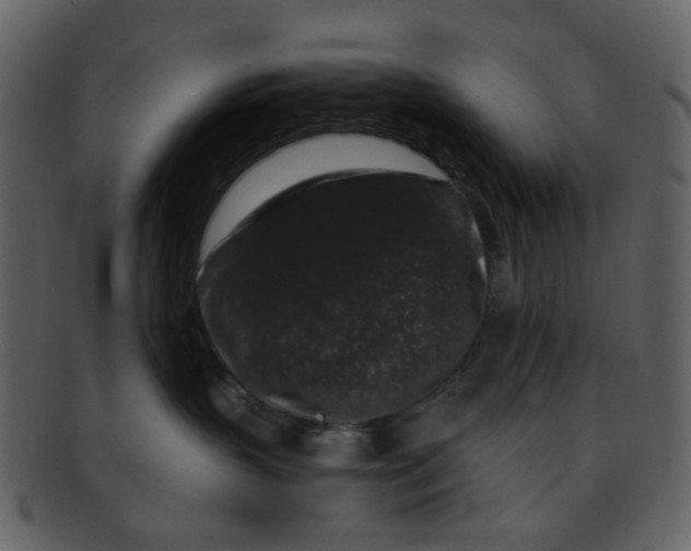 X0000093140383200710171334