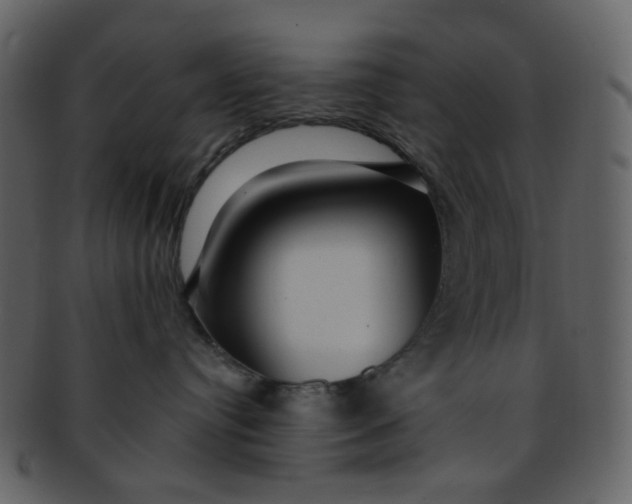 X0000093140384200710171334