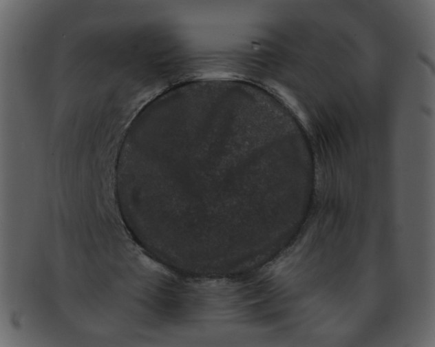 X0000093140385200710171333