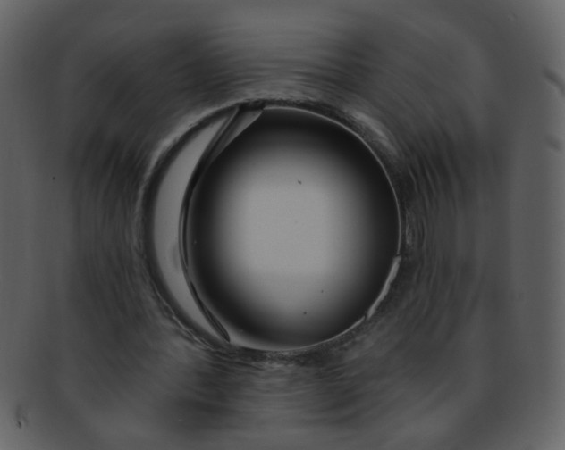 X0000093140388200710171333