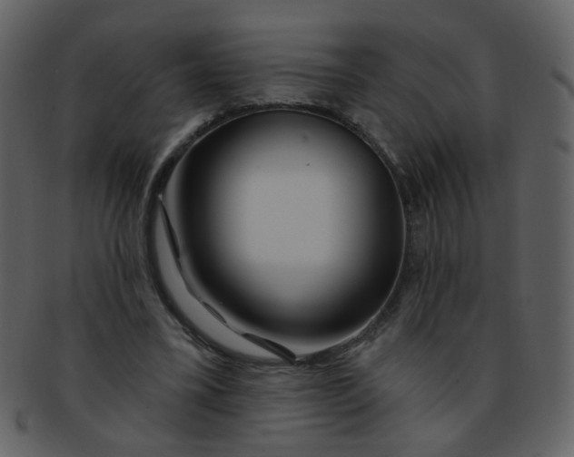 X0000093140395200710171333