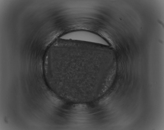 X0000093140398200710171333