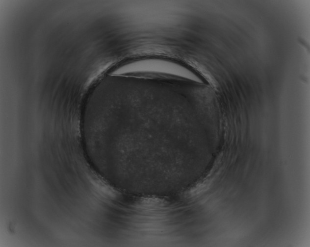 X0000093140399200710171333