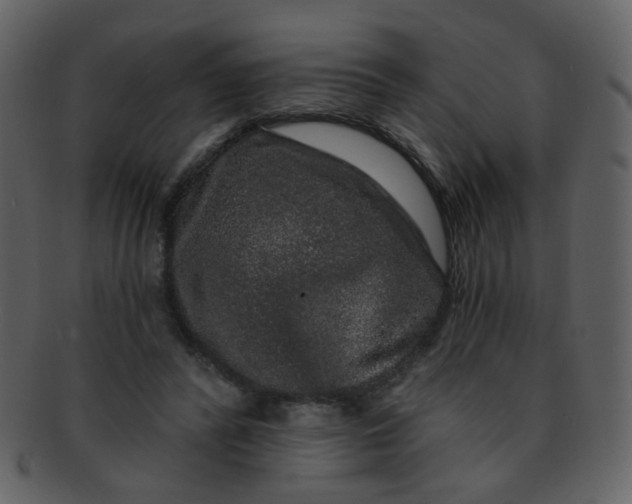 X0000093140400200710171333