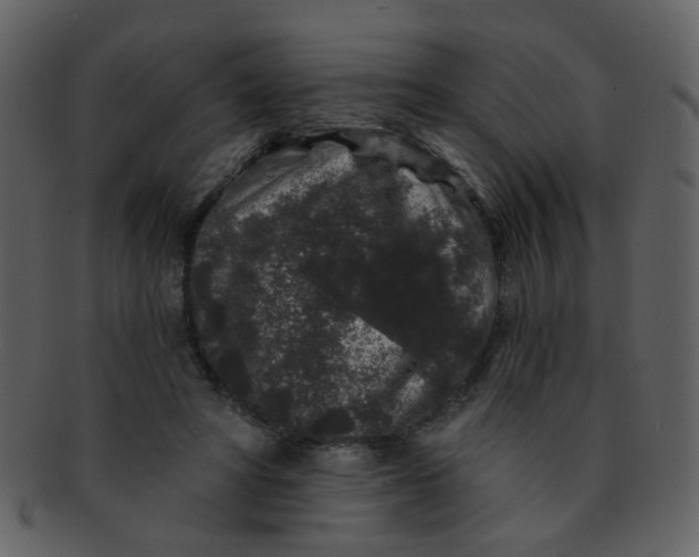 X0000093140402200710171333