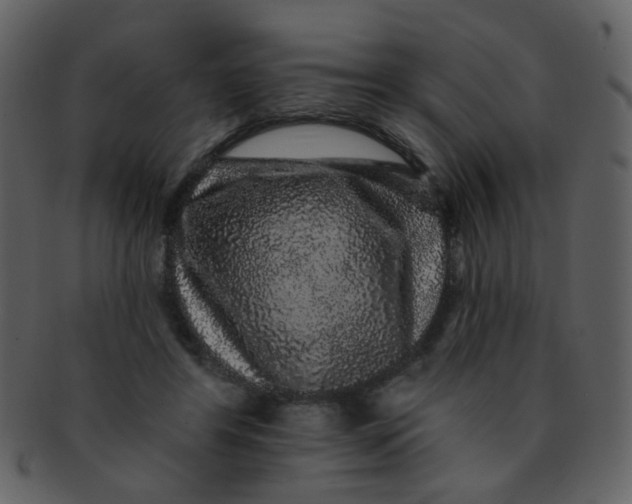 X0000093140404200710171333