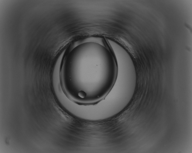 X0000093140405200710171333