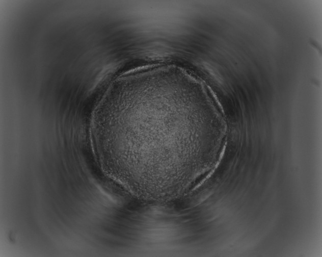 X0000093140408200710171333