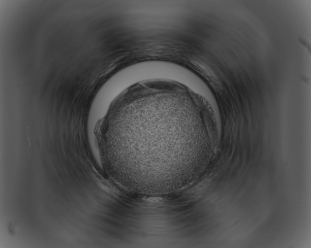 X0000093140409200710171333