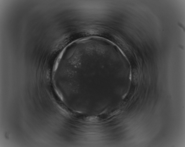 X0000093140410200710171333