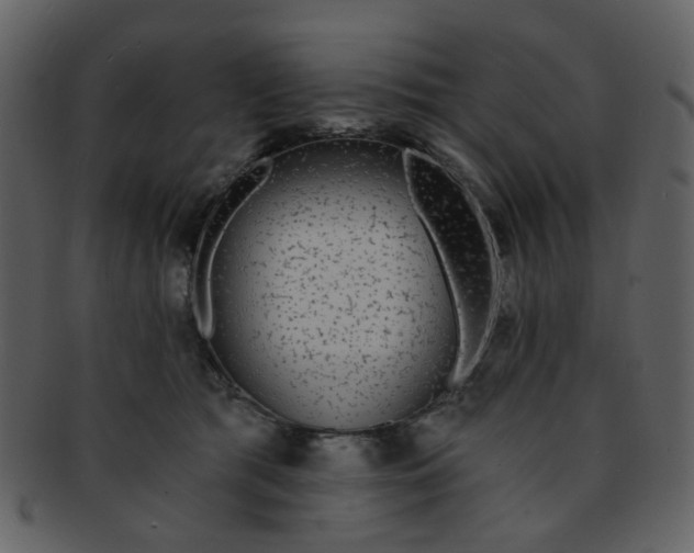 X0000093140417200710171333