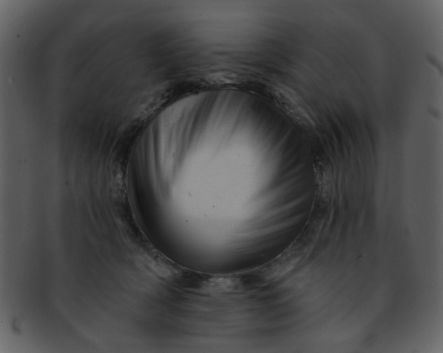 X0000093140418200710171333