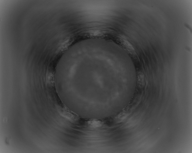 X0000093140419200710171333