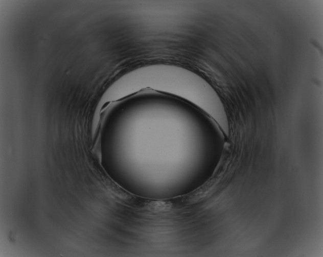 X0000093140421200710171333