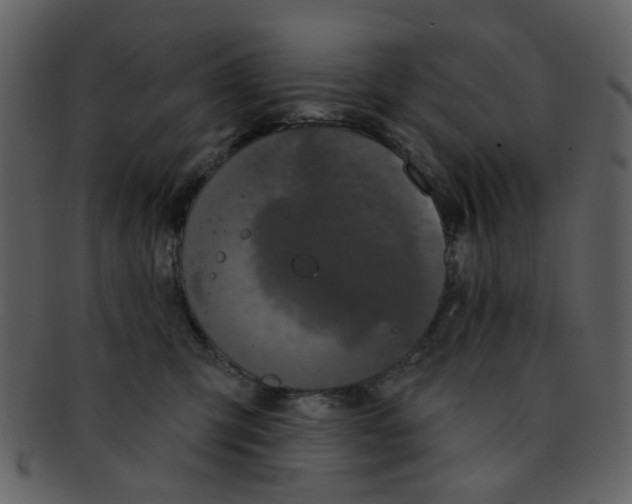 X0000093140423200710171333