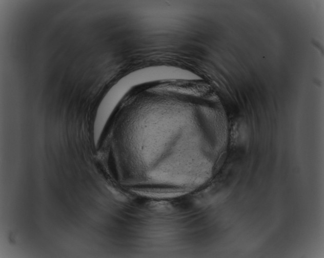 X0000093140424200710171333