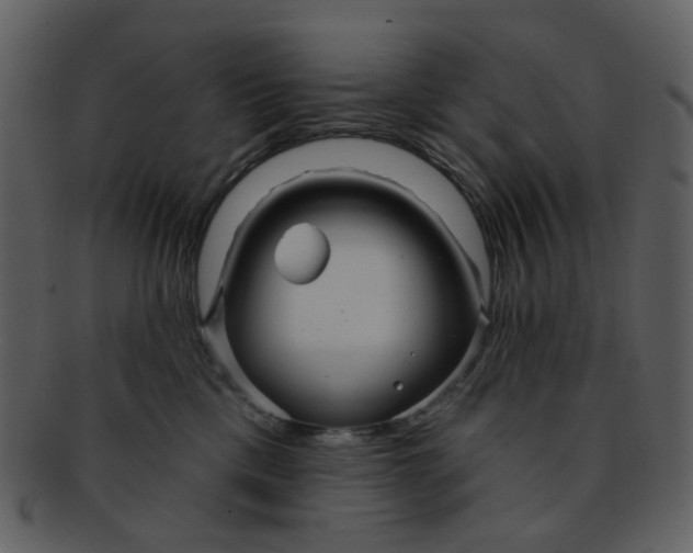 X0000093140425200710171333