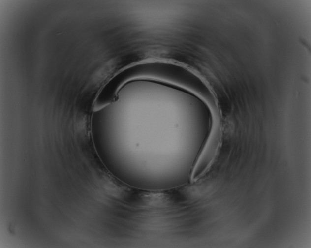 X0000093140428200710171333