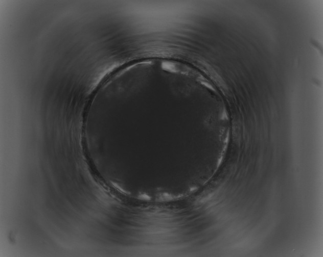 X0000093140434200710171332