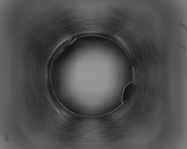 X0000093140435200710171332