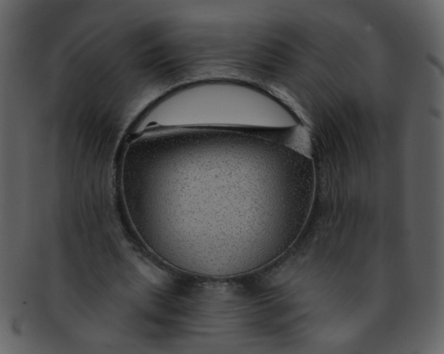 X0000093140439200710171332