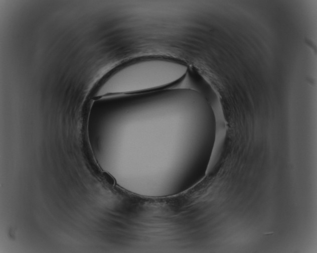 X0000093140440200710171332