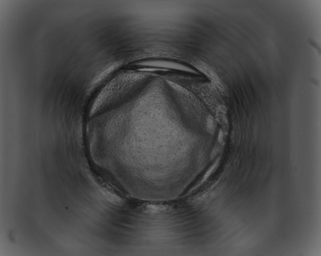 X0000093140442200710171332