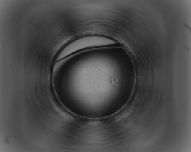 X0000093140446200710171332