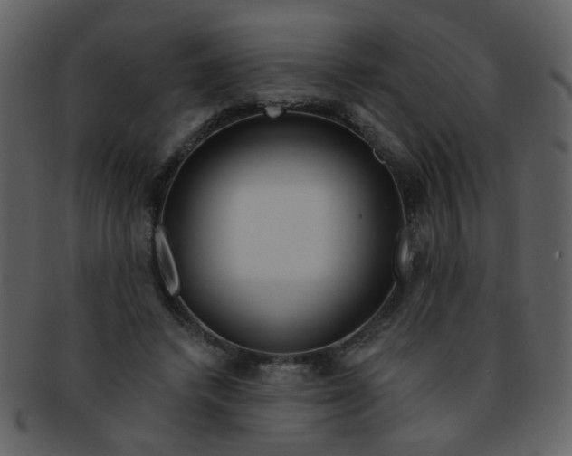 X0000093140448200710171332