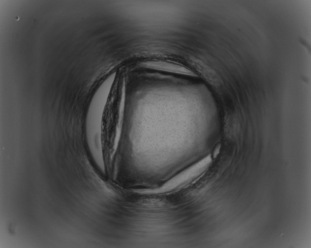 X0000093140449200710171332