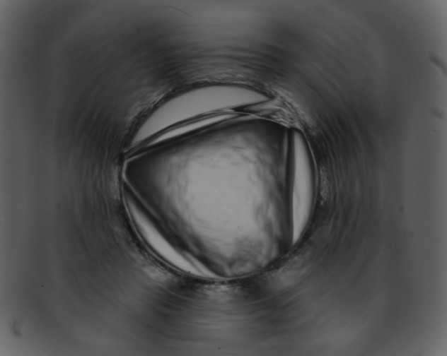 X0000093140453200710171332