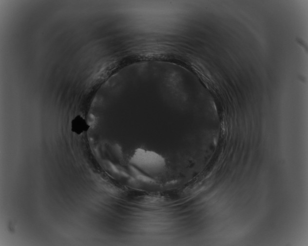 X0000093140458200710171333