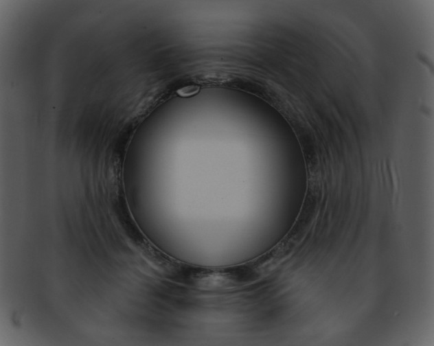 X0000093140460200710171333