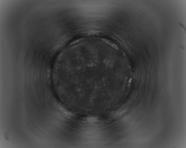 X0000093140462200710171333