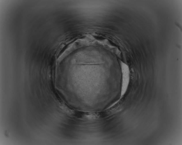 X0000093140466200710171333