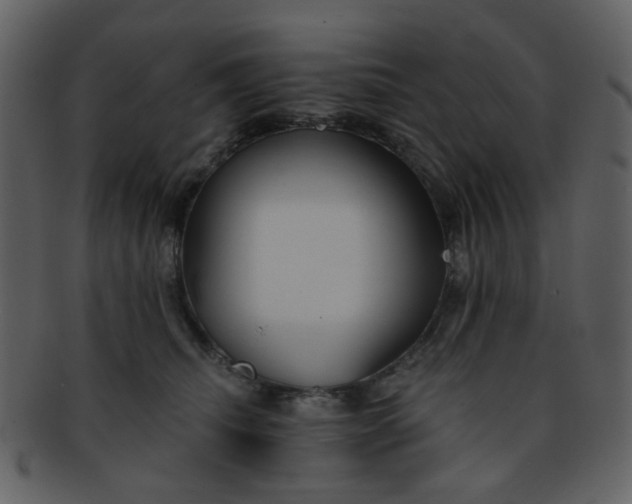 X0000093140468200710171333