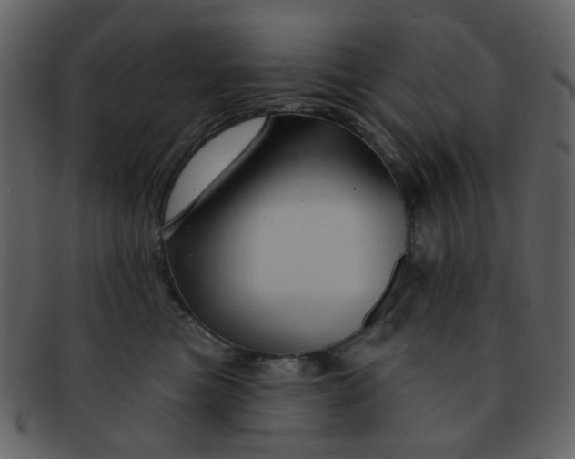 X0000093140473200710171333